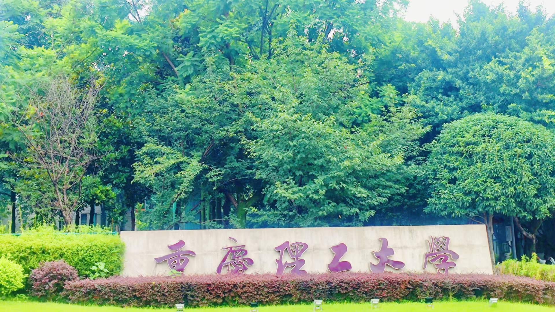 喜报！源本科技集团与重庆理工大学产教融合项目成功签约！